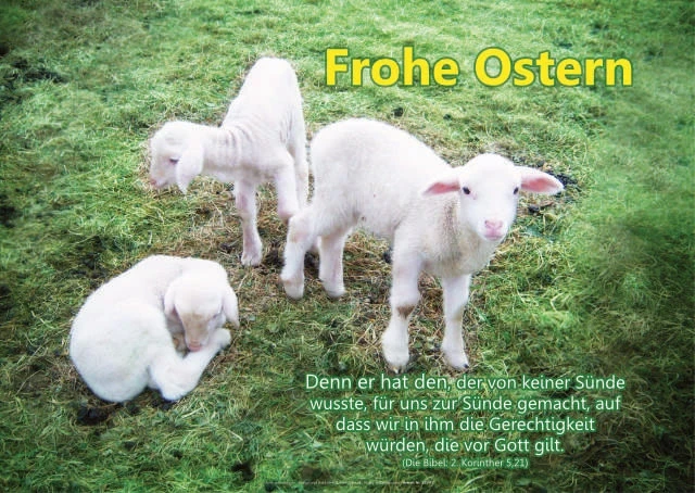 Poster A2 -Set 32 Schaukasten-Plakate