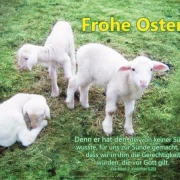 Poster A2 -Set 32 Schaukasten-Plakate