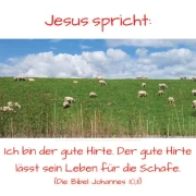 Poster A2 -Set 32 Schaukasten-Plakate