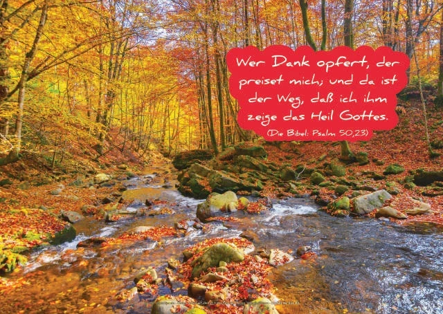 Poster A2 -Set 32 Schaukasten-Plakate