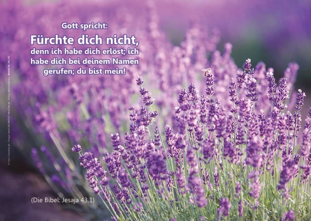 Poster A2 -Set 32 Schaukasten-Plakate