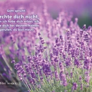 Poster A2 -Set 32 Schaukasten-Plakate
