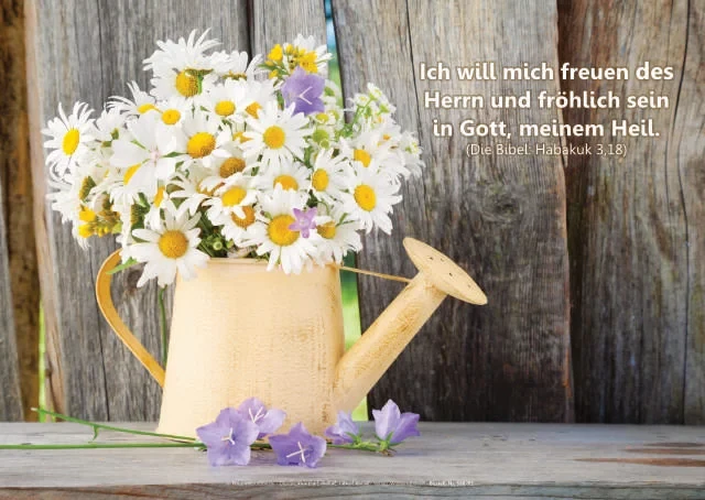 Poster A2: Gießkanne mit Margeriten