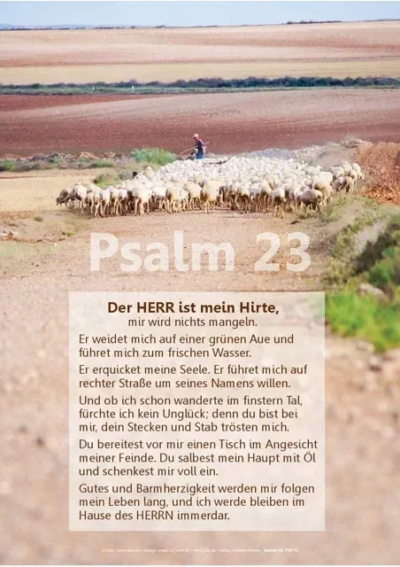 Illustration eines Schafhirten mit seiner Herde auf grüner Wiese, begleitet vom Text Psalm 23 in Hochformat auf DIN A2 Poster.