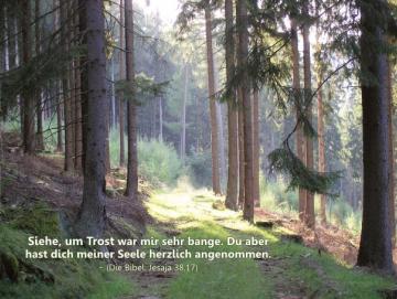Poster Ewigkeitssonntag A2: Waldweg im Rothaargebirge