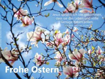 Poster Ostern A2 - Magnolienblüten