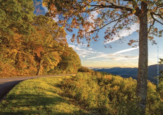Intensiv gefärbte Herbstlandschaft mit harmonischer Lichtstimmung.