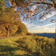 Intensiv gefärbte Herbstlandschaft mit harmonischer Lichtstimmung.