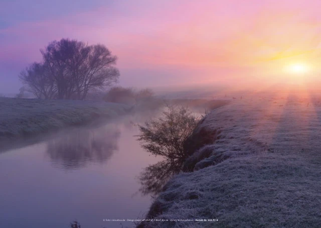 Stille Flusslandschaft bei sanftem Morgenlicht mit weicher Wasserbiegung.