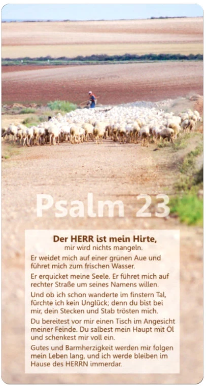 Postkarte - Schafhirte mit seiner Herde Maxicard