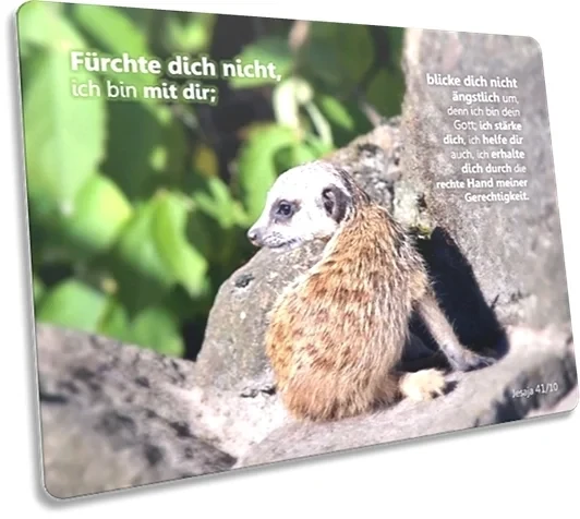Postkarte: Baby-Erdmännchen