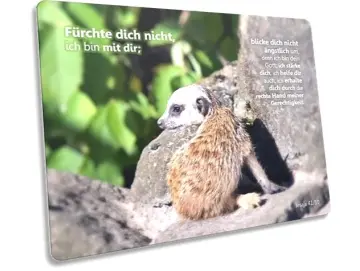 Postkarte: Baby-Erdmännchen