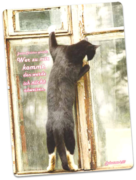 Christliche Postkarte - Am Fenster stehende Katze