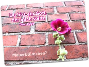 Postkarte Jahreslosung 2023 - Mauerblümchen