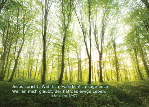 Christliche Postkarte: Lichtdurchfluteter Frühlingswald