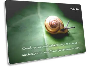 Postkarte: Schnecke auf Blatt