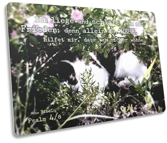 Postkarte: Unter Rosenstock schlafende Katze