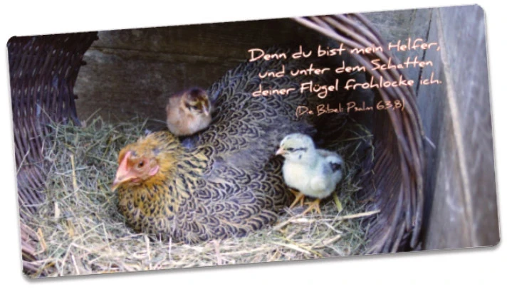 Postkarte lang - Henne im Korb - Maxicard