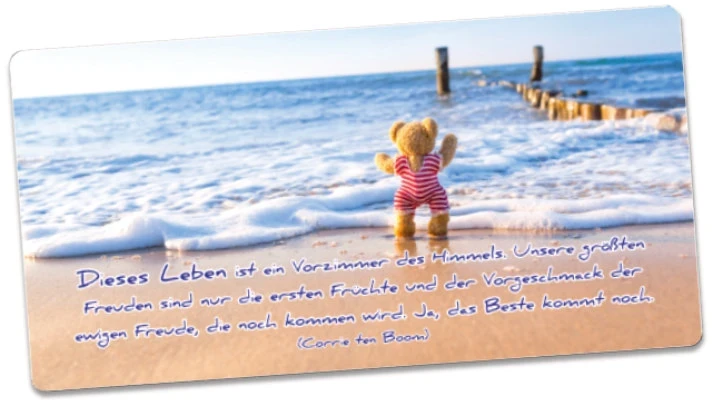 Postkarte lang - Teddybär am Meeresufer - Maxicard