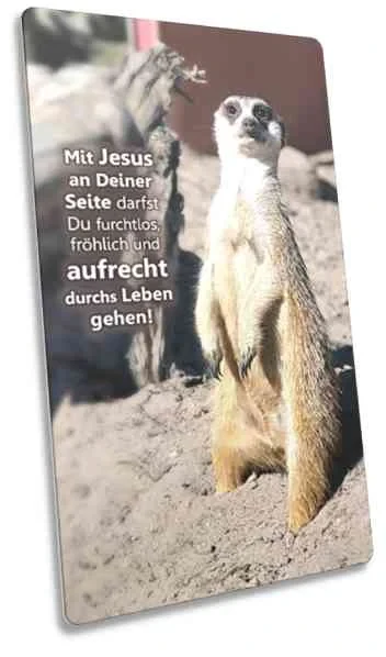Postkarte lang - stehendes Erdmännchen - Maxicard