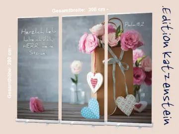 Roll-Up-Display - Papiertüte mit Rosen- 300x200cm