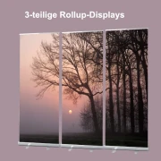 Bestatterbedarf: Roll-Up Display 1er-Set - "Bäume vor Sonnenuntergang"