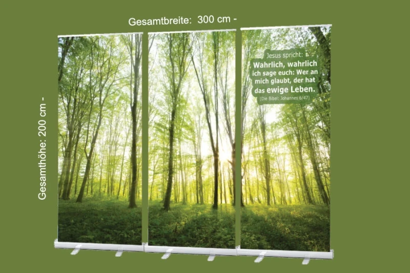 Bestatterbedarf, Roll-Up mit Bibelvers Johannes 6,47: „Wer an mich glaubt, der hat das ewige Leben“ – sonnendurchfluteter Wald – 300 x 200 cm