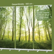 Bestatterbedarf, Roll-Up mit Bibelvers Johannes 6,47: „Wer an mich glaubt, der hat das ewige Leben“ – sonnendurchfluteter Wald – 300 x 200 cm