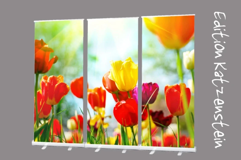 Roll-Up Display 3er-Set „Bunte Tulpenpracht"