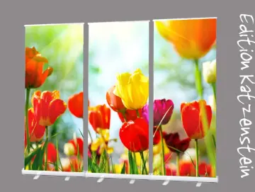 Roll-Up Display 3er-Set „Bunte Tulpenpracht"
