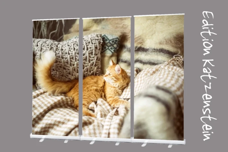 Roll-Up Display 3er-Set „Kuschelplatz mit Perserkatze"