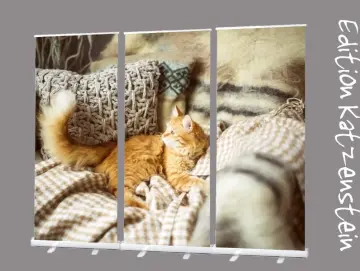 Roll-Up Display 3er-Set „Kuschelplatz mit Perserkatze"
