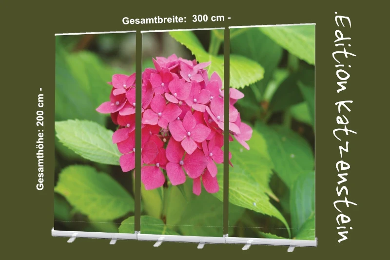Trauerhallen Dekoration: Roll-Up Display Set "Kleine Hortensienblüte in Pink"