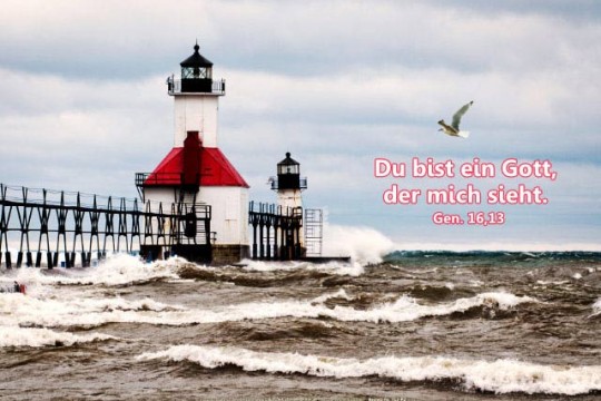 KATEGORIE_ALT_TEXT5