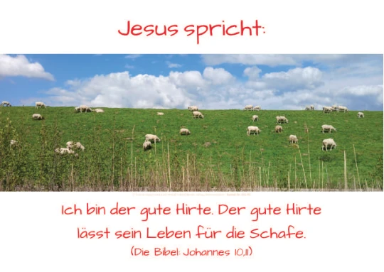 Christliches Poster mit Schafen am Deich. Sanftes Motiv über Ruhe, Vertrauen und Gottes Nähe – ideal für Zuhause oder Gemeinde. ALT-Tag:
